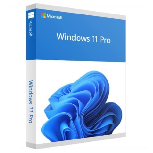Microsoft Windows 11 Pro 64 bit